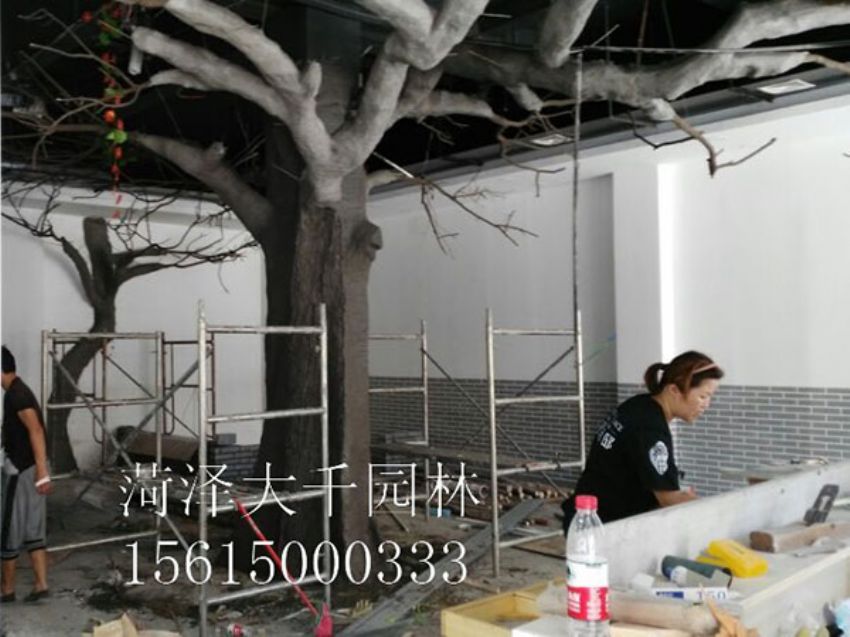 點(diǎn)擊查看詳細(xì)信息<br>標(biāo)題：假樹 閱讀次數(shù)：1430