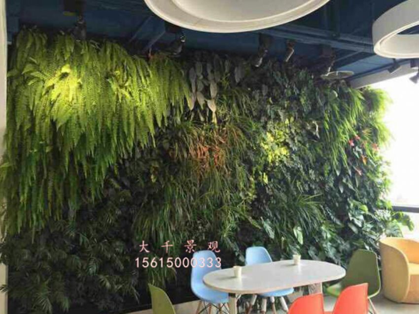 點(diǎn)擊查看詳細(xì)信息<br>標(biāo)題：綠植墻 閱讀次數(shù)：2005